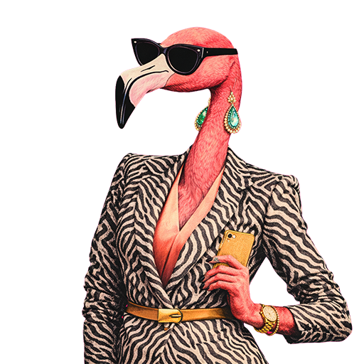 flamingo