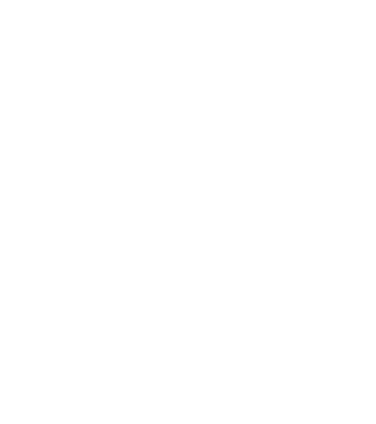 Palms illustration